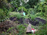 Portland permaculture